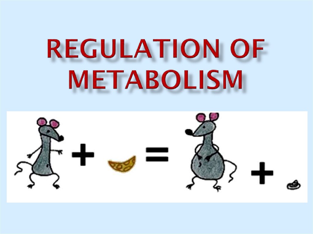 Regulation of metabolism