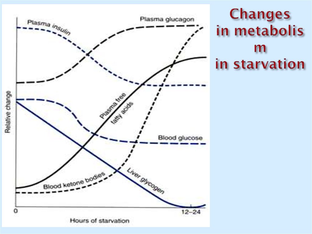 Changes in metabolism in starvation