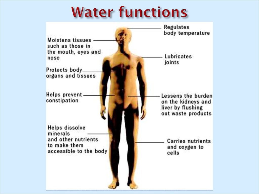 Water functions