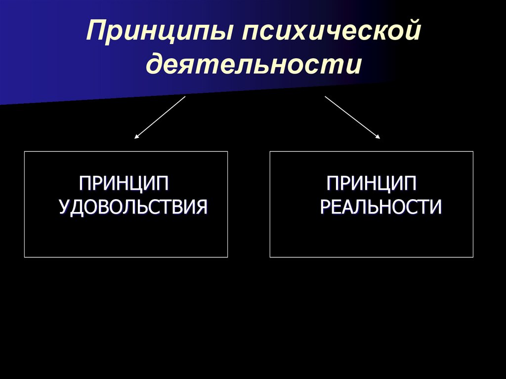 Принципы деятельности человека. Психическая деятельность человека. Основа психической деятельности человека. Типы психической деятельности. Принципы психологической деятельности.