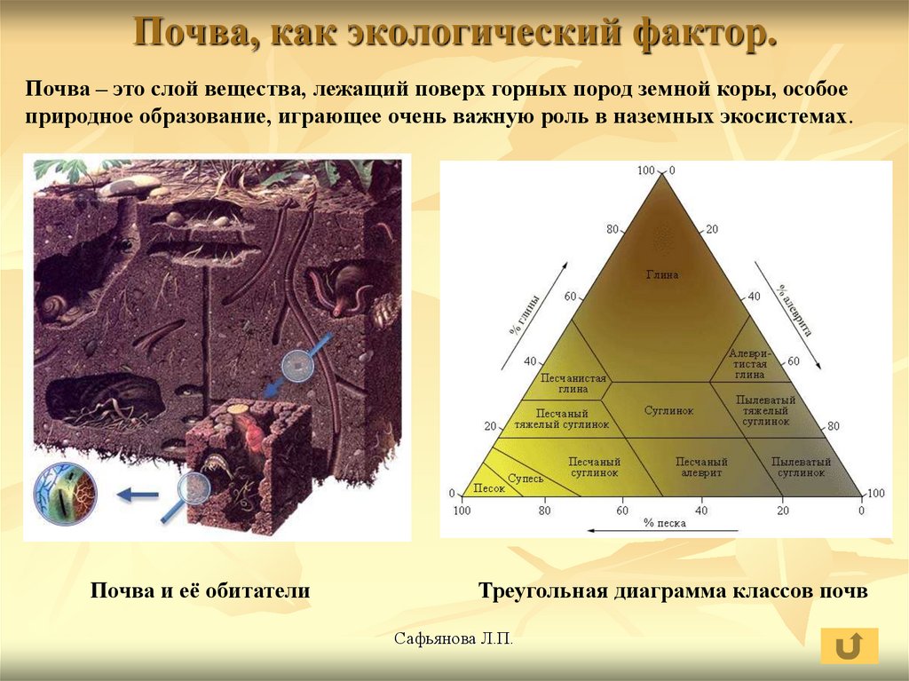 Факторы почвоведения. Почва как экологический фактор. Экологические факторы почвы. Экологические факторы почвенной среды. Почва - экологические факторы среды,.