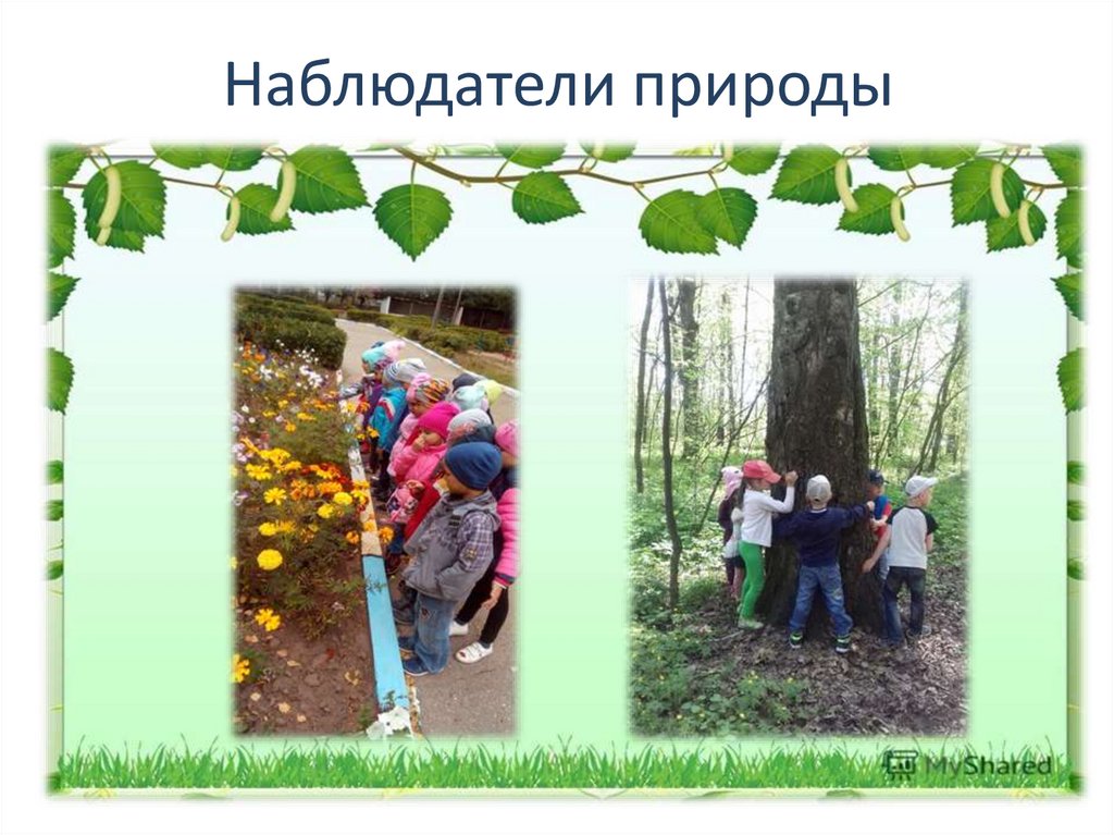 Наблюдатели природы