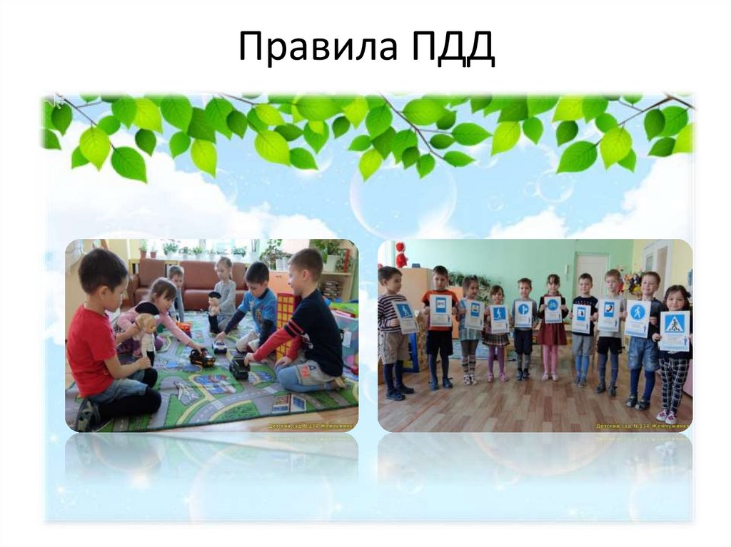 Правила ПДД