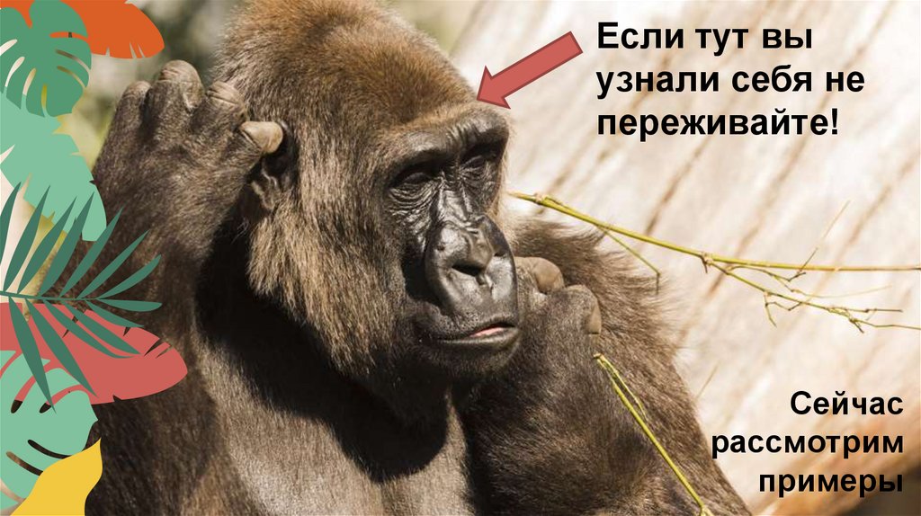 Сейчас рассмотрим примеры