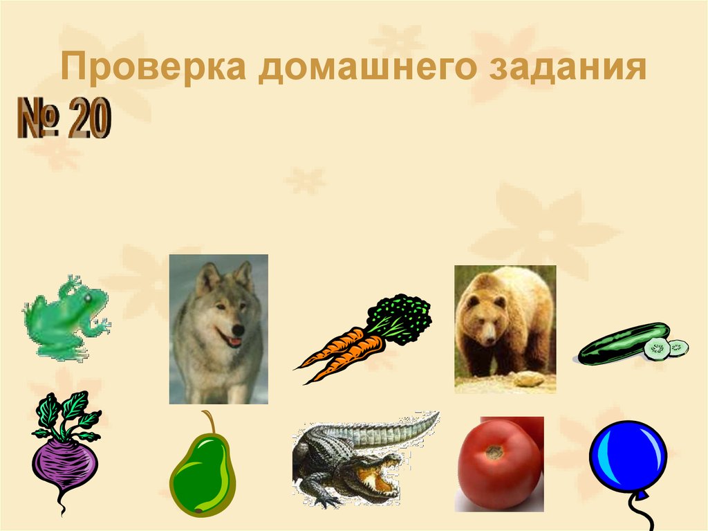 Проверка домашнего задания