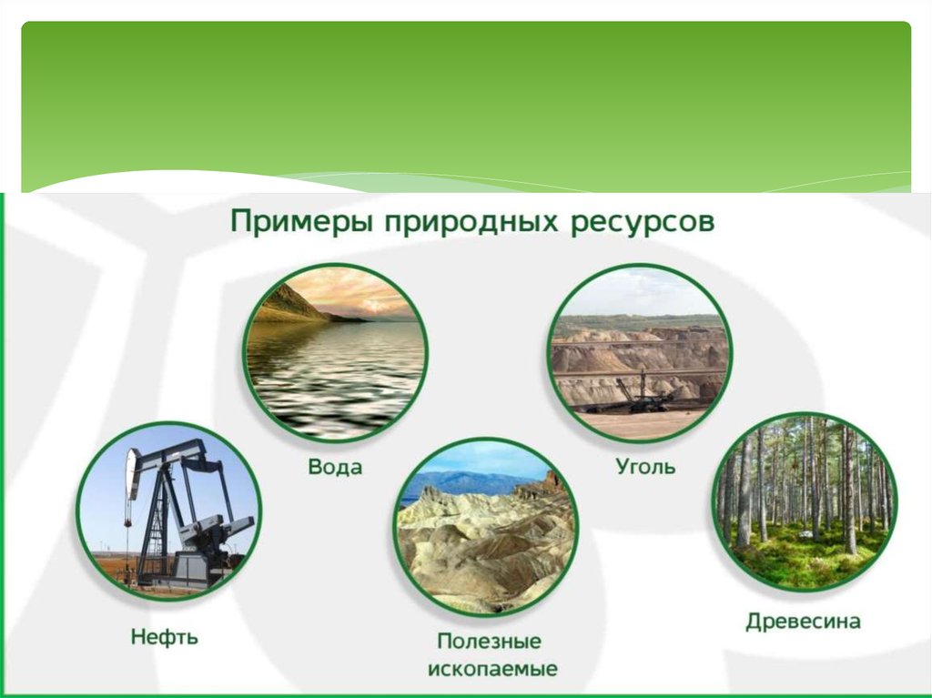 Природные ресурсы земли россии. Природные ресурсы. Природные ресурсы для детей. Природные ресурсы картинки для презентации. Природные богатства.