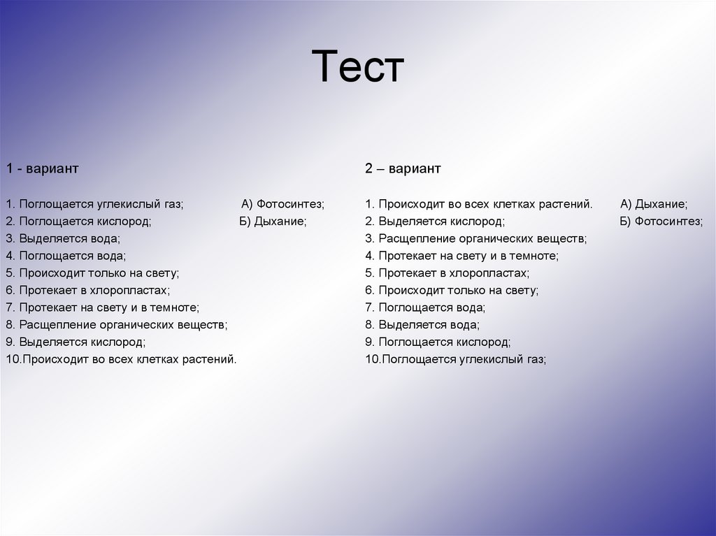 Презентация 6 класс тест