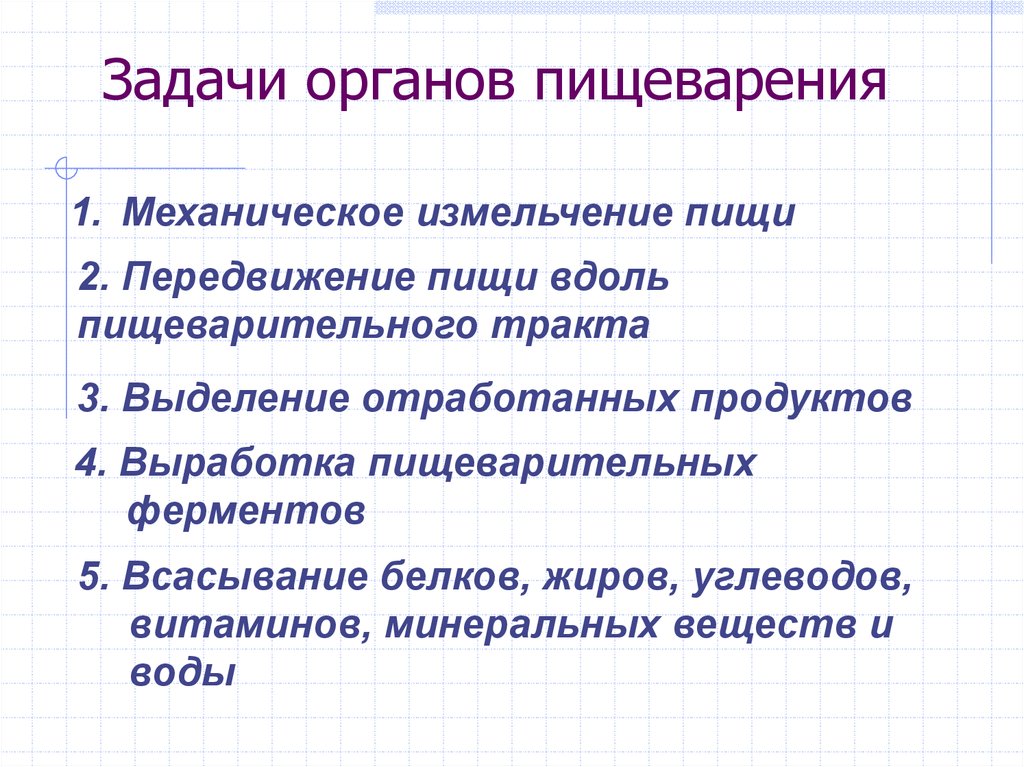 Установите последовательность нашей деятельности в процессе работы над проектом а исправлять ошибки