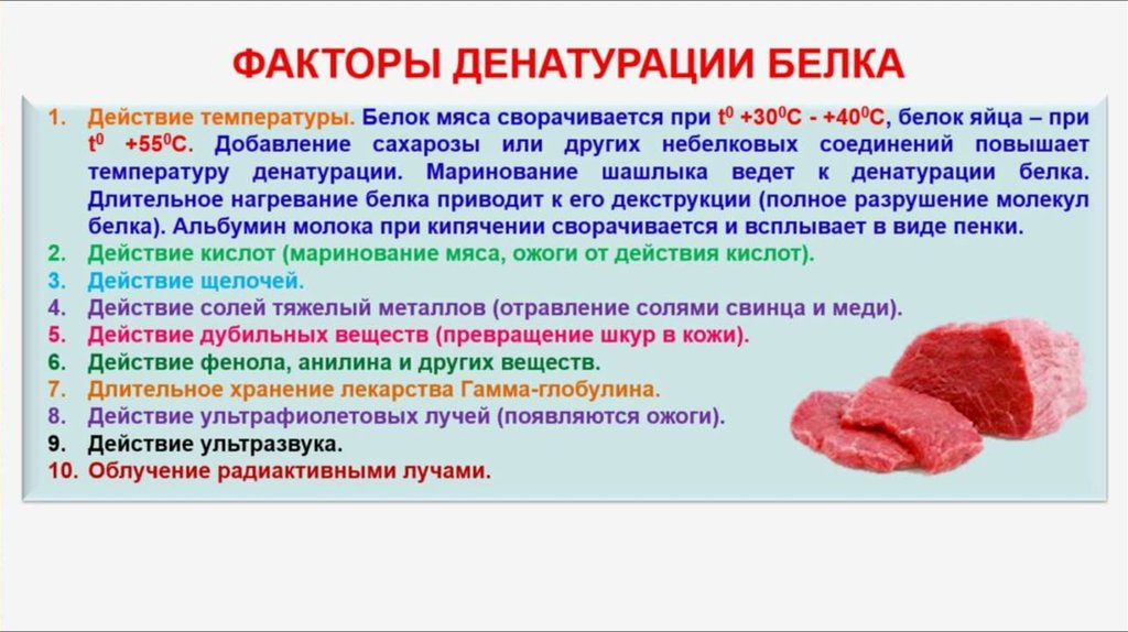 Презентация про белки