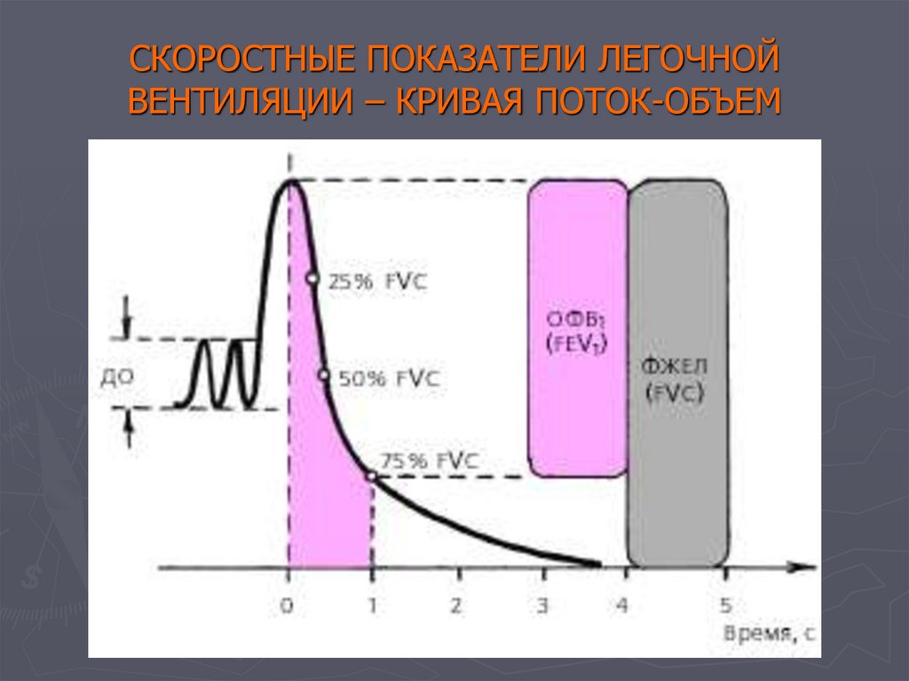 Как нарисовать спирограмму