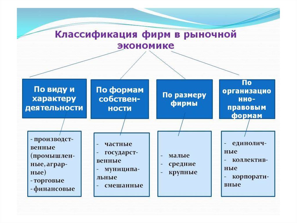 Экономика организации какая. Экономическая теория фирмы. Классификация фирм.. Типы деловых предприятий в рыночной экономике. Классификация видов фирм в экономике. Классификация фирм в рыночной экономике.