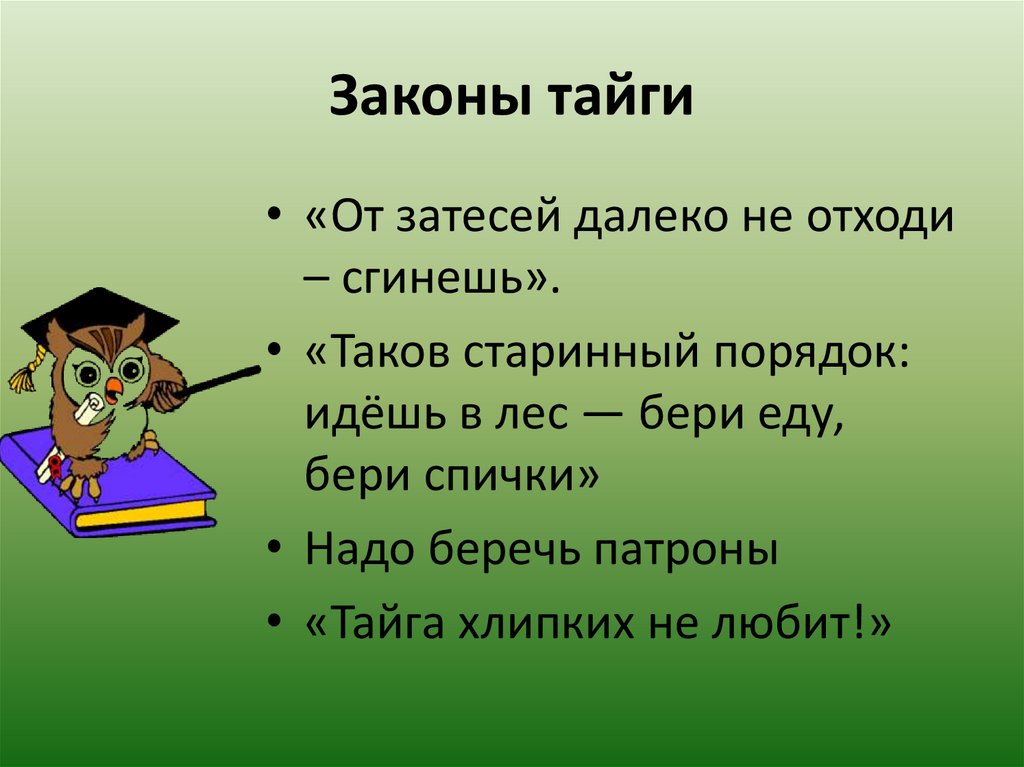 Таков старинный порядок идешь в лес бери. Законы тайги. Памятка законы тайги. Законы тайги 5 класс литература. Значение слова Затеси.