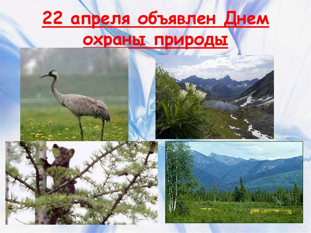 22 апреля объявлен Днем охраны природы