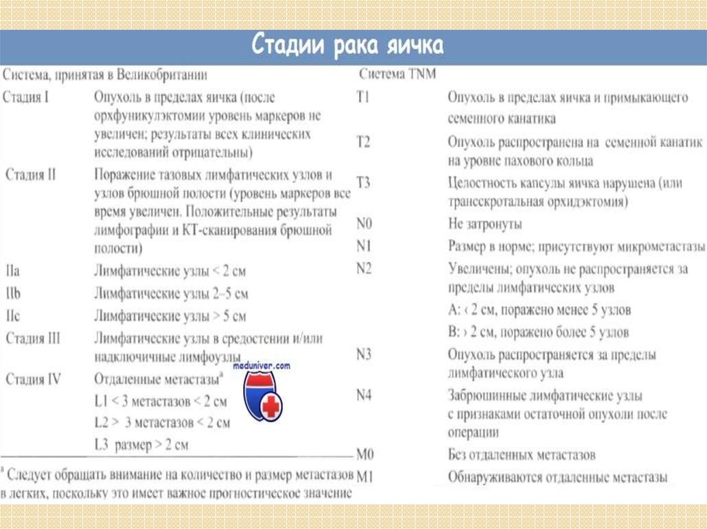 Размер раковой опухоли. Опухоль яичка TNM. TNM классификация опухоли яичка. Классификация ТНМ опухоли яичка.