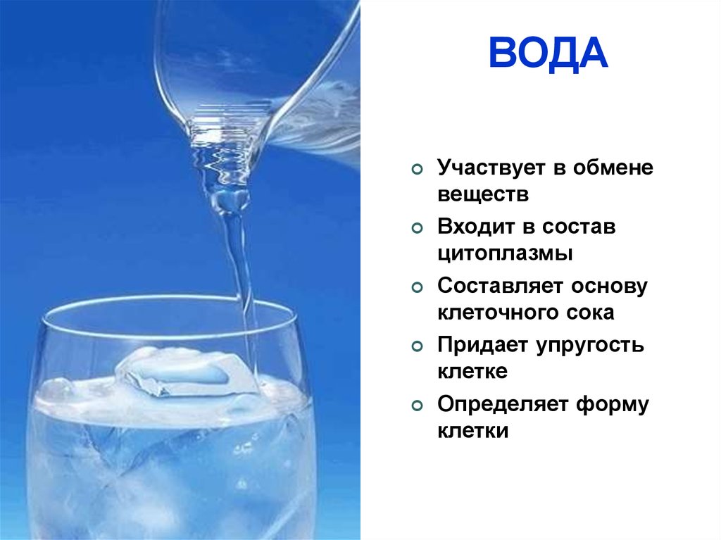 Какие вещества входящие в состав клетки. Химический состав клетки 5 класс биология вода. Состав воды биология. Вода это вещество. Вода участвует.