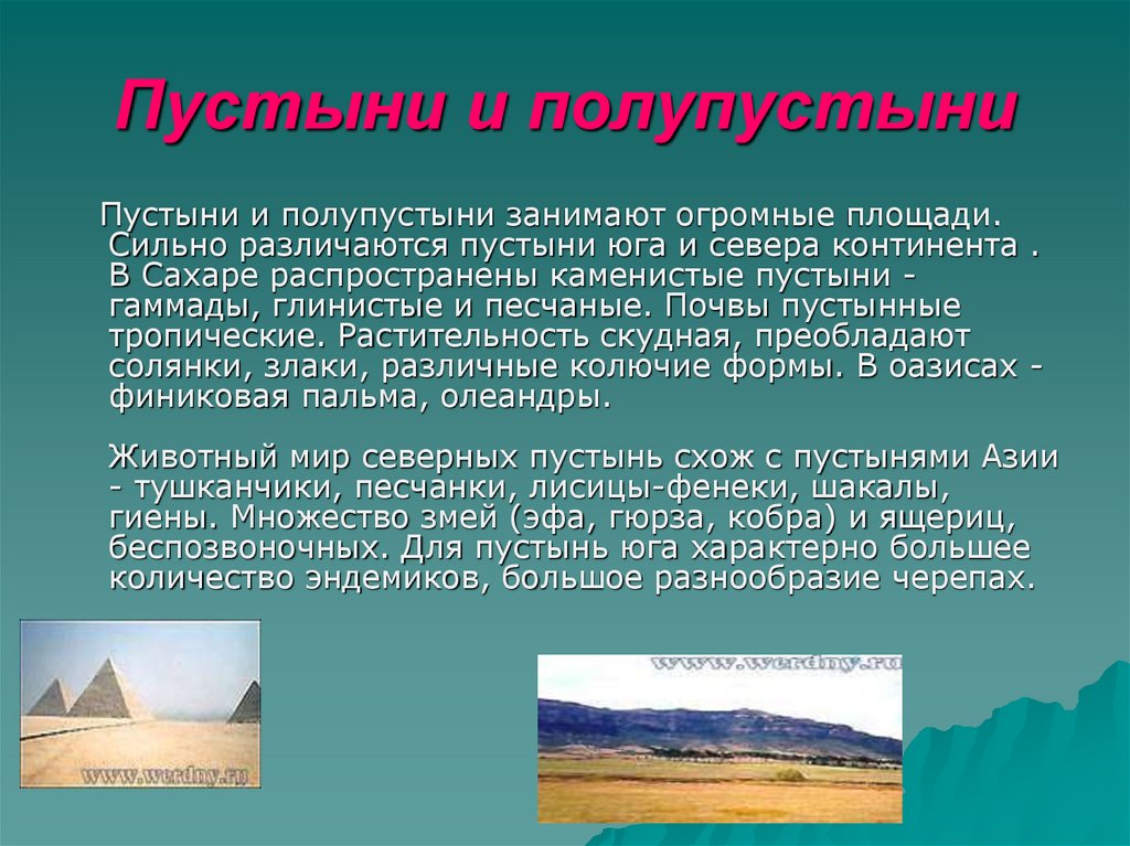 Особенности природной зоны полупустыни. Зона пустынь и полупустынь. Зона полупустынь в России климат. Пустыни и полупустыни климат. Краткая характеристика полупустынь.