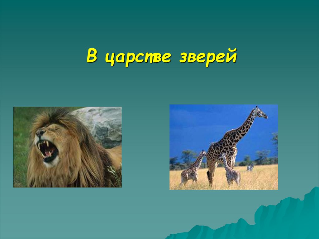 Подготовьте сообщение об одном из путешественников или исследователей африки по плану 7 класс