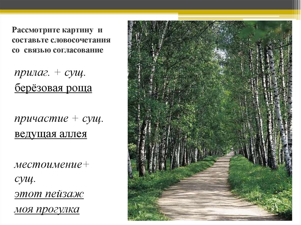 Укажите словосочетание со связью примыкание добрый человек пошел рисовать увидеть лес березовая роща