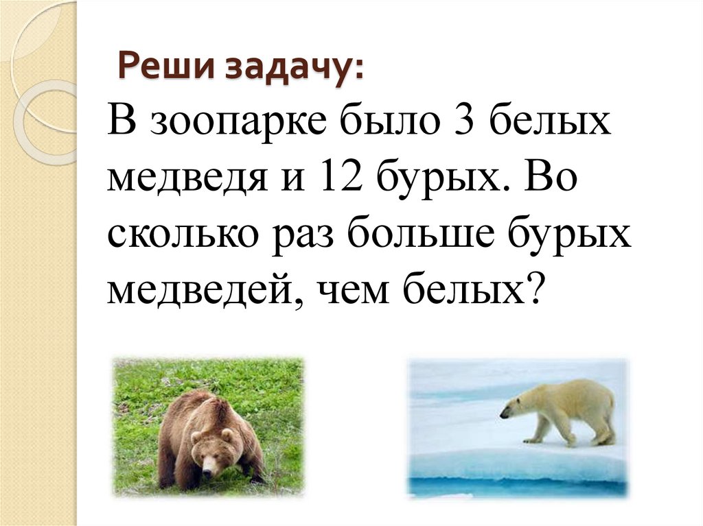 Более решать. Задачи про белого медведя. Задача про медведей. Задачи про зоопарк. Задания про медведей бурых и белых.