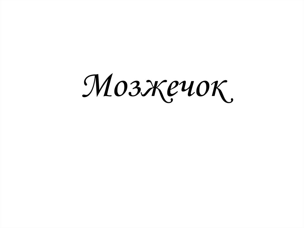 Мозжечок