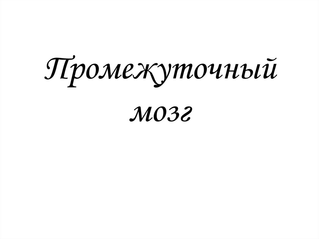 Промежуточный мозг