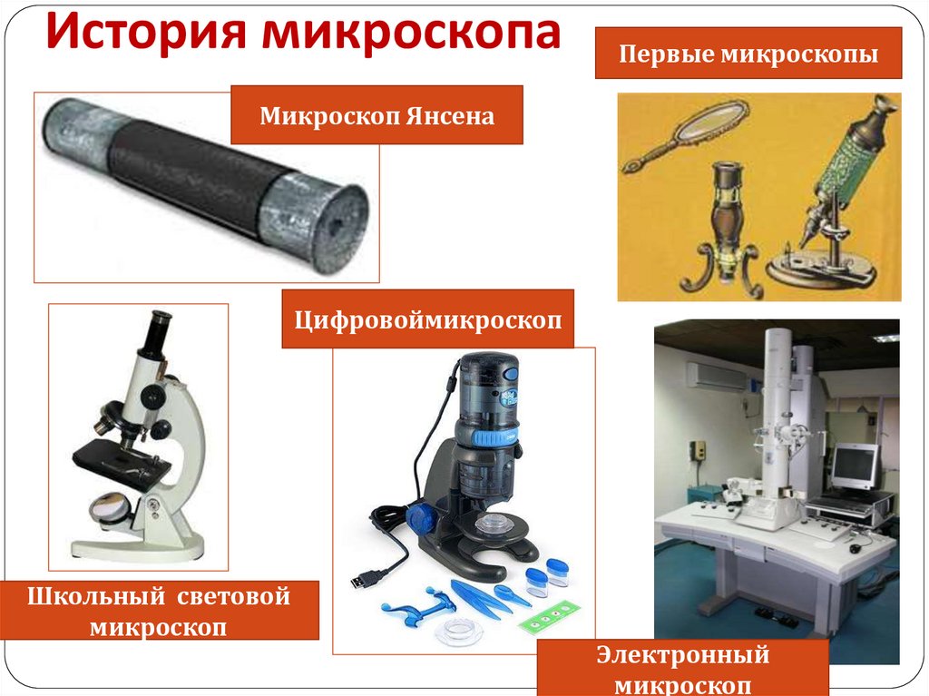 Презентации про микроскоп