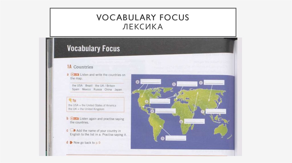 Vocabulary focus лексика