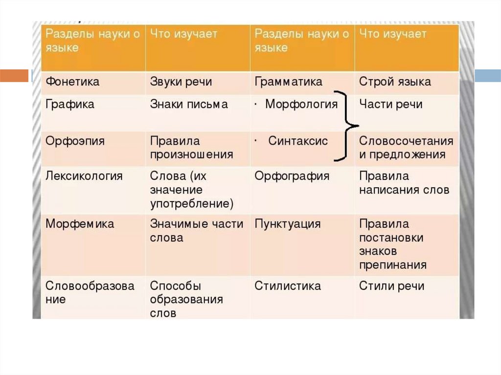 Разделы науки о языке 6 класс презентация