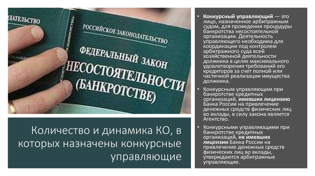 Конкурсный управляющий это. Конкурсный управляющий. Назначенное лицо компании.