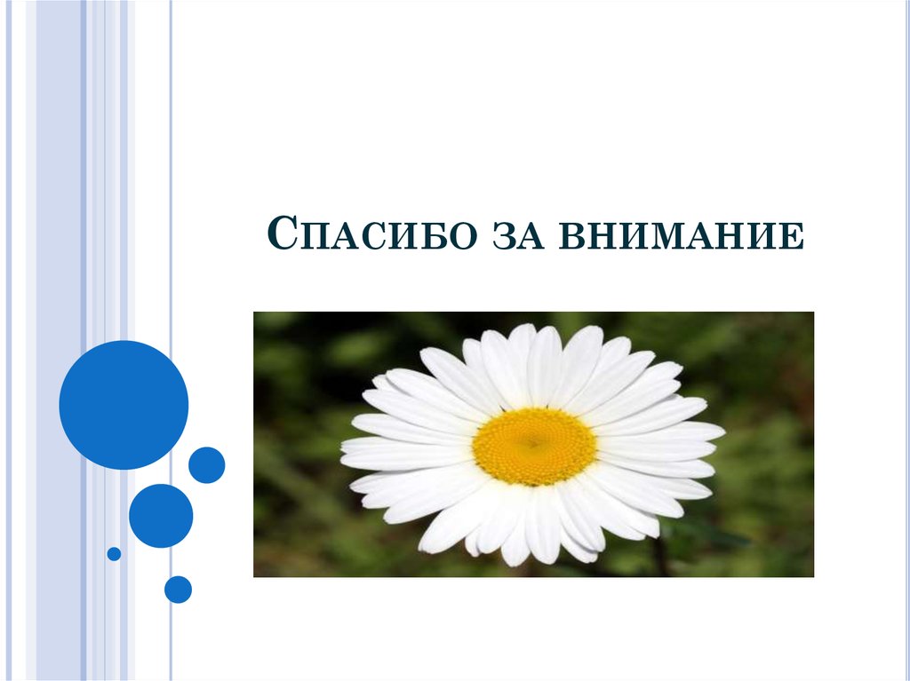 Спасибо за внимание