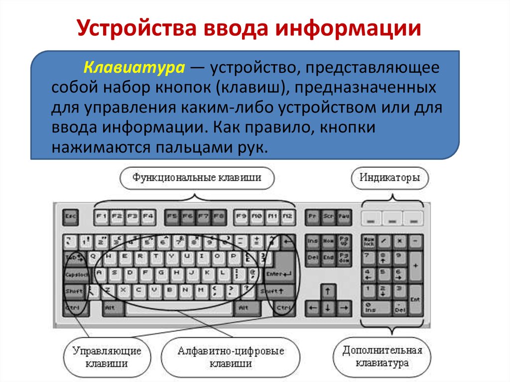 Клавиатура служит для ввода. Устройства ввода информации. Устройства ввода клавиатура. Устройства с клавиатурным вводом. Устройства ввода информации презентация.