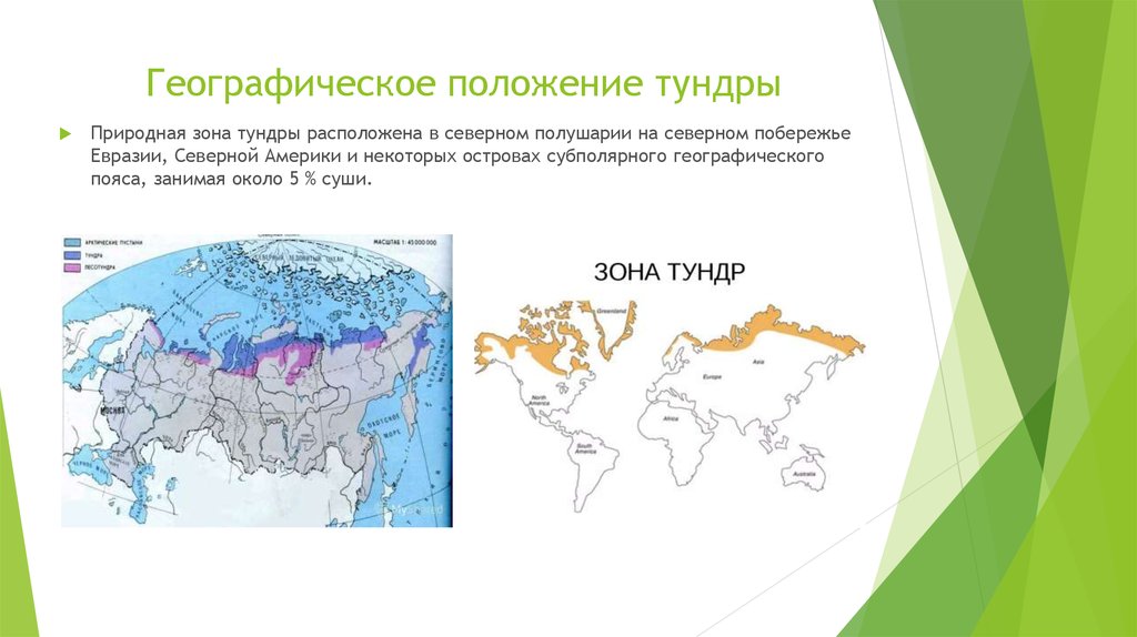 Тундра зона распространения. Географическое положение тундры на карте. Географическое положение зоны тундры в России. Природная зона тундра географическое положение.