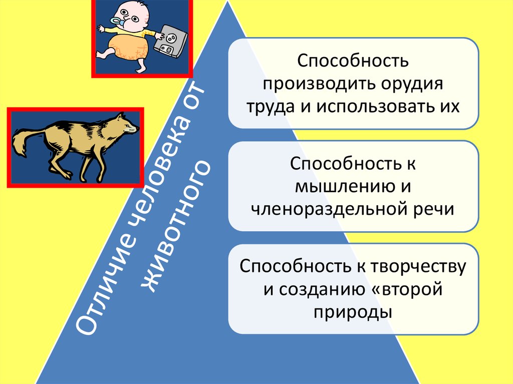 Человека от животного отличается способностью