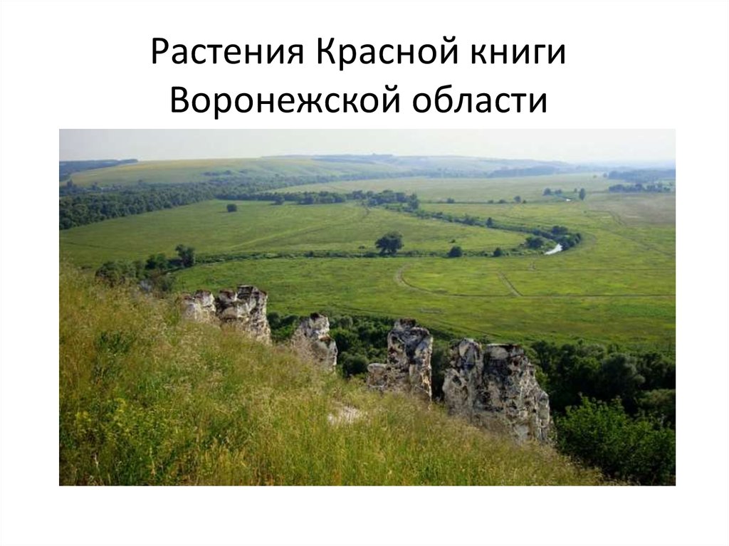 Природные памятники воронежской области презентация