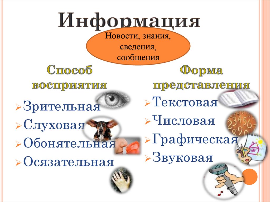 Кодирование информации босова 7 класс