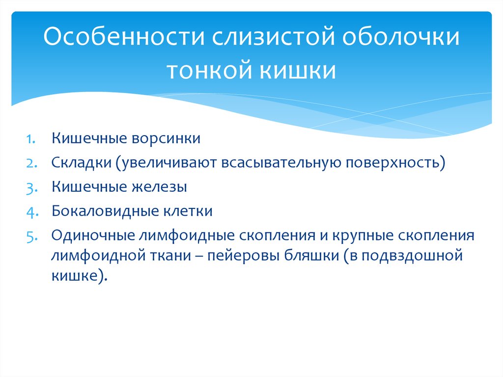 Слизистая оболочка кишечника. Особенности строения слизистой оболочки тонкой кишки. Особенности строения слизистой тонкого кишечника. Особенности слизистой оболочки тонкой кишки. Особенности строения слизистой оболочки тонкого кишечника.