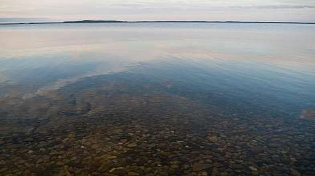 Отложения в озерах. Дно Онежского озера. Донные отложения озера Онежского. Охрана Онежского озера. На дне Онежского озера.
