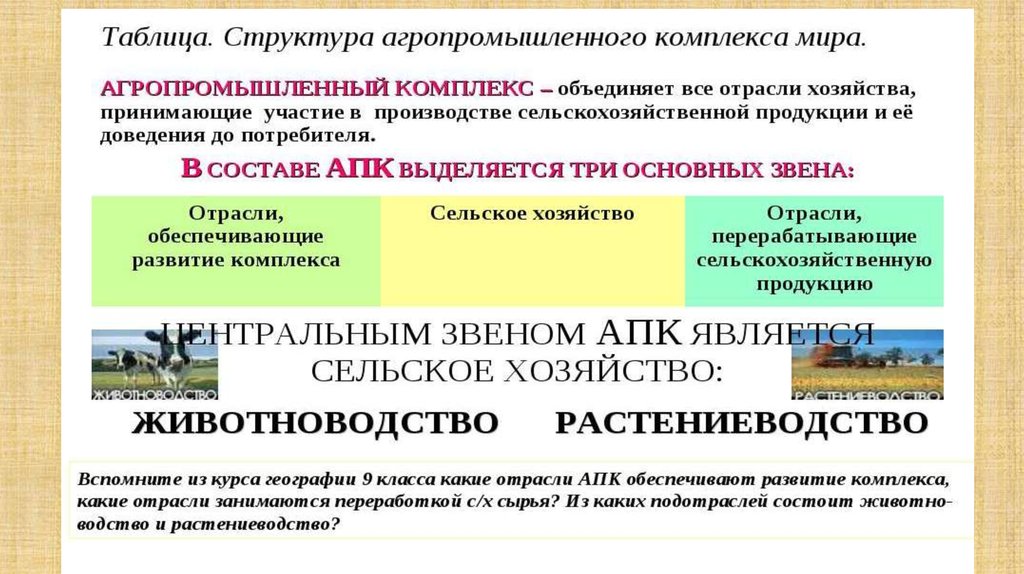 Презентация география сельского хозяйства и рыболовства 10 класс география