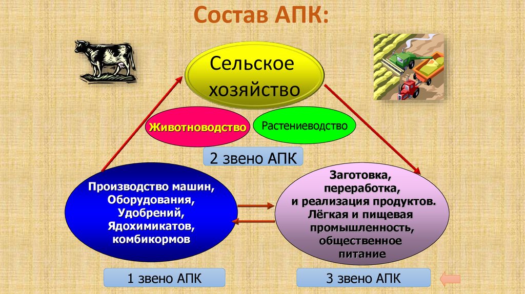 Какие отрасли входят в состав сельского хозяйства