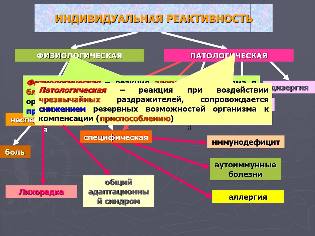 Реактивность 2. Индивидуальная оаективносьь. Патологическая реактивность организма. Физиологическая и патологическая реактивность. Индивидуальная реактивность.