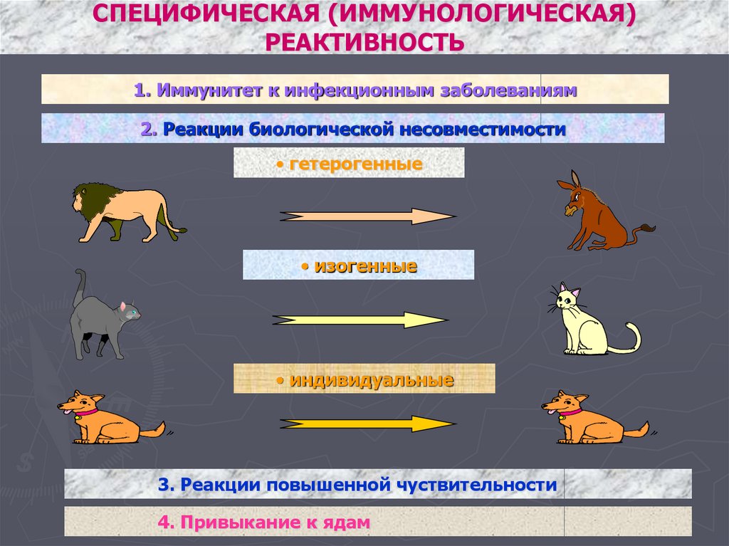 Реактивность и резистентность организма. Специфическая иммунологическая реактивность. Реактивность организма животных. Общая и специфическая иммунологическая реактивность организма. Реактивность организма примеры.