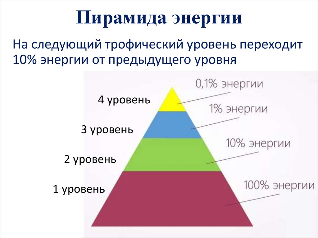 Пирамида энергии