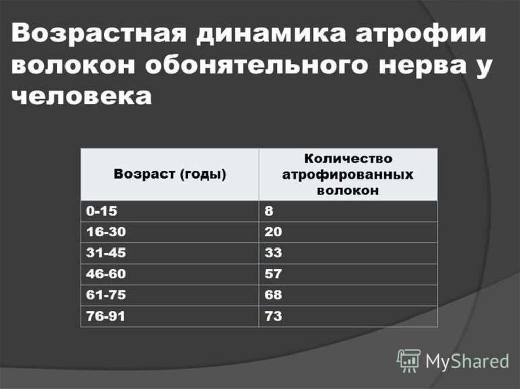 Возрастная динамика. Возрастная динамика атрофии волокон обонятельного нерва у человека. Негоклац сколько лет. Сколько лет нянпотато.