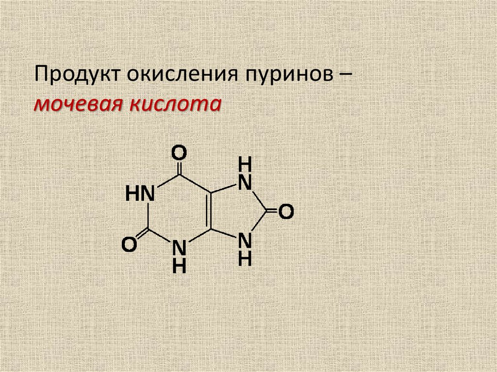 Функции мочевой кислоты