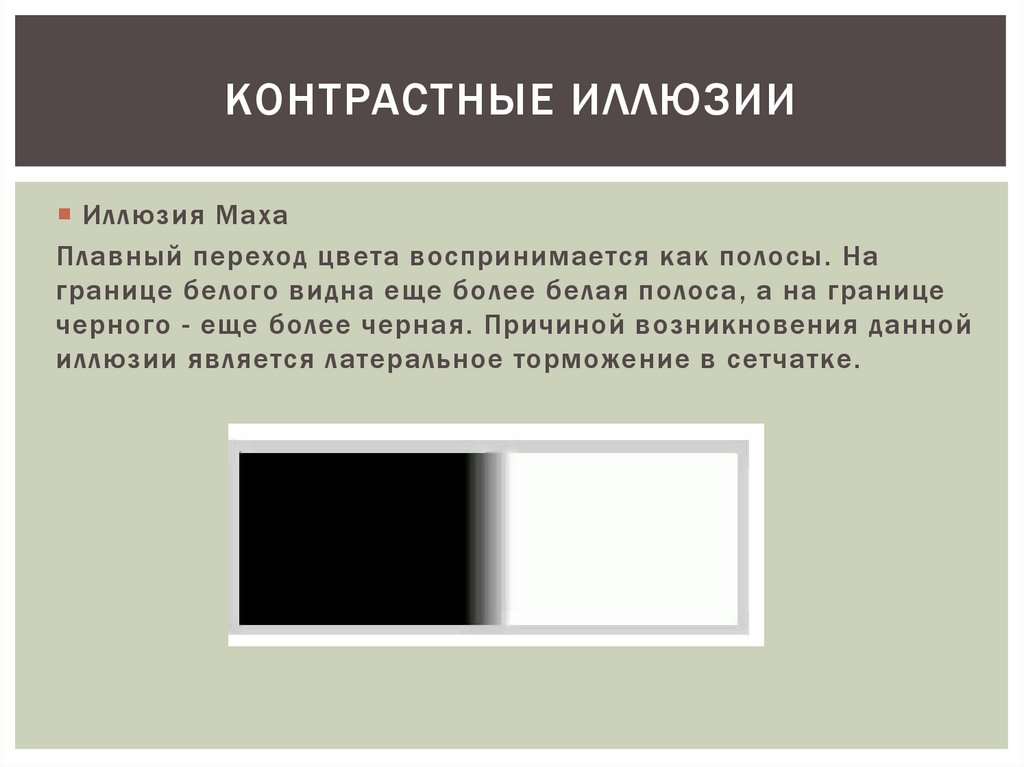 Темно причина. Контрастные иллюзии. Иллюзия Маха. Полосы Маха иллюзия. Контрастные иллюзии картинки.