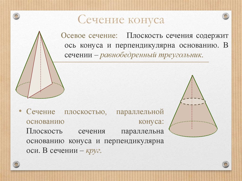 Сечения конуса параллельно основанию