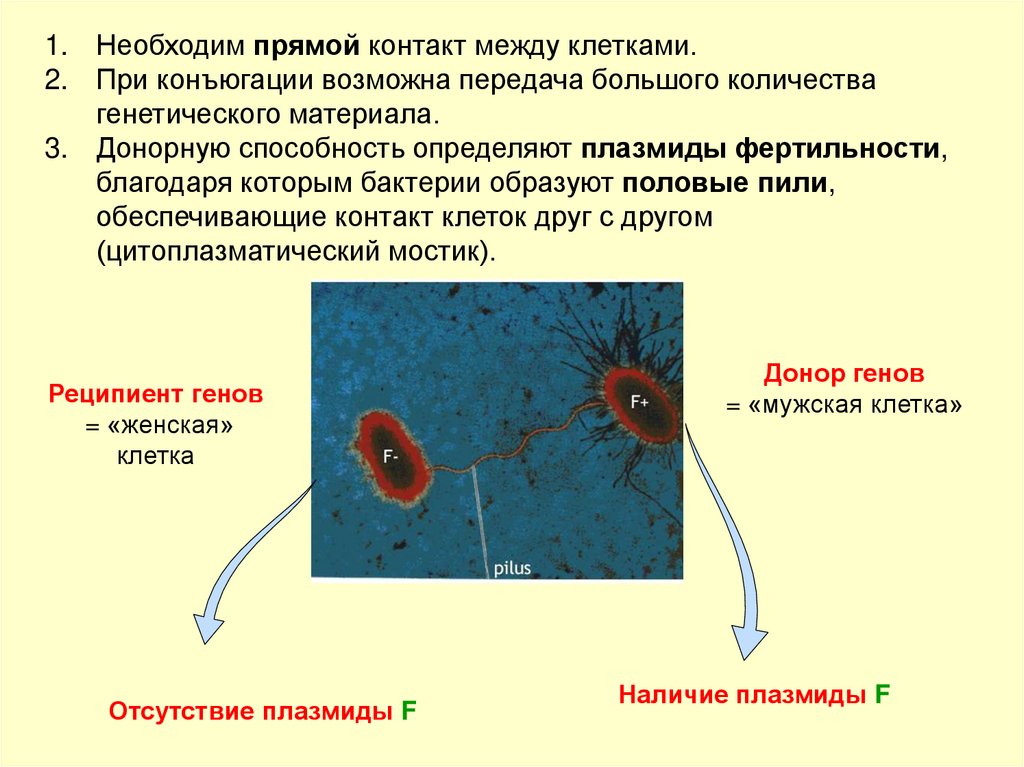 Генетика 9 класс биология презентация