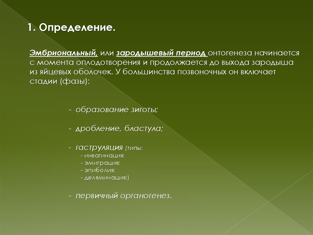 Эмбриональный период развития онтогенеза - презентация онлайн