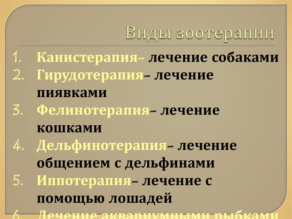 Чудодейственность зоотерапии проект