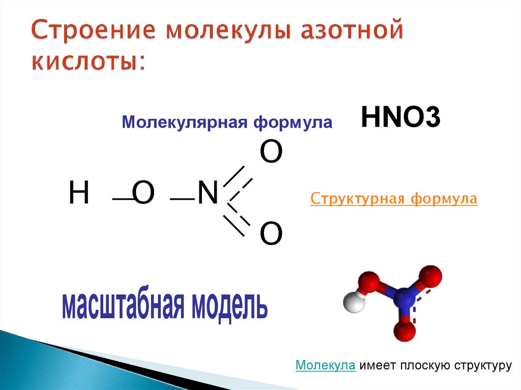 Строение молекулы азотной кислоты: